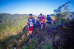 BIB: 3375
                            <button type="button" onclick="openModal(19066634)" class="btn btn-primary btn-sm float-right btn-popup" data-toggle="modal" data-target=".modal-high-quality">
                        <i class="fas fa-shopping-cart"></i> Add to Cart
                    </button>
                                            <button type="button" onclick="isThisMe(19066634, true)" class="btn btn-success btn-sm float-right btn-popup btn-isme hidden" data-toggle="tooltip" data-placement="bottom" title="นี่คือรูปของคุณใช่ไหม คลิกที่นี่เพื่อเอาเข้าอัลบั้ม">
                        <i class="fas fa-plus"></i> Add to album
                    </button>
                    <button type="button" onclick="isThisMe(19066634, false)" class="btn btn-warning btn-sm float-right btn-popup btn-isnotme hidden">
                        <i class="fas fa-ban"></i> Remove from album
                    </button>